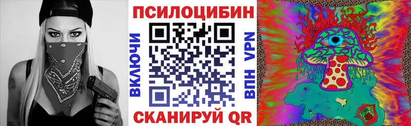 Галлюциногенные грибы GOLDEN TEACHER  Купить  Ковылкино 
